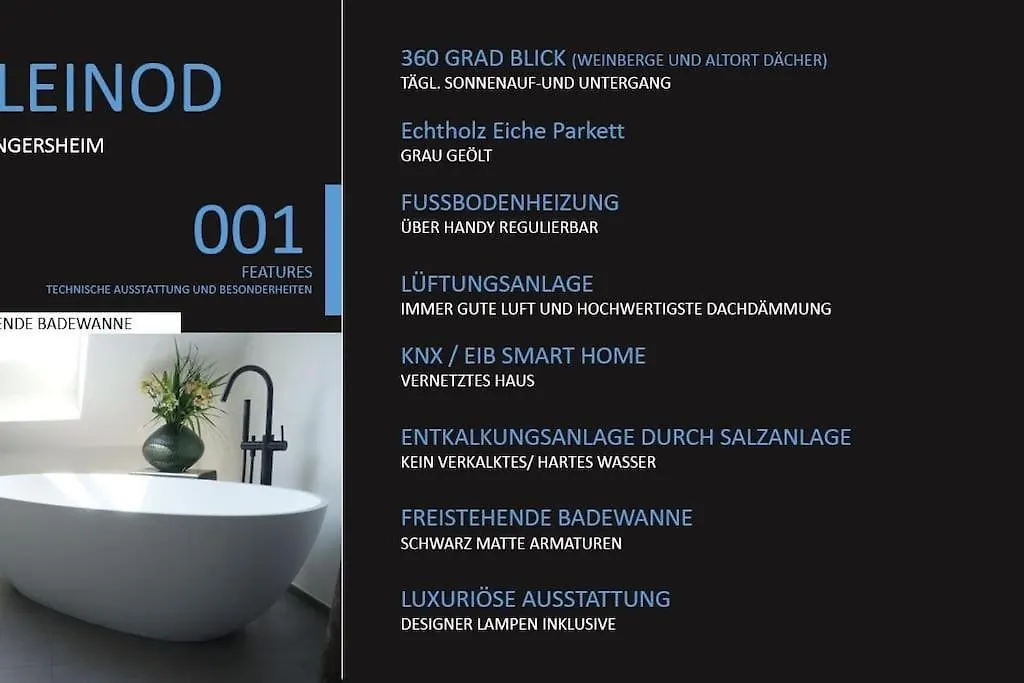100M² Office Loft 10 Min Von Wurzburg Stadtmitte Thuengersheim