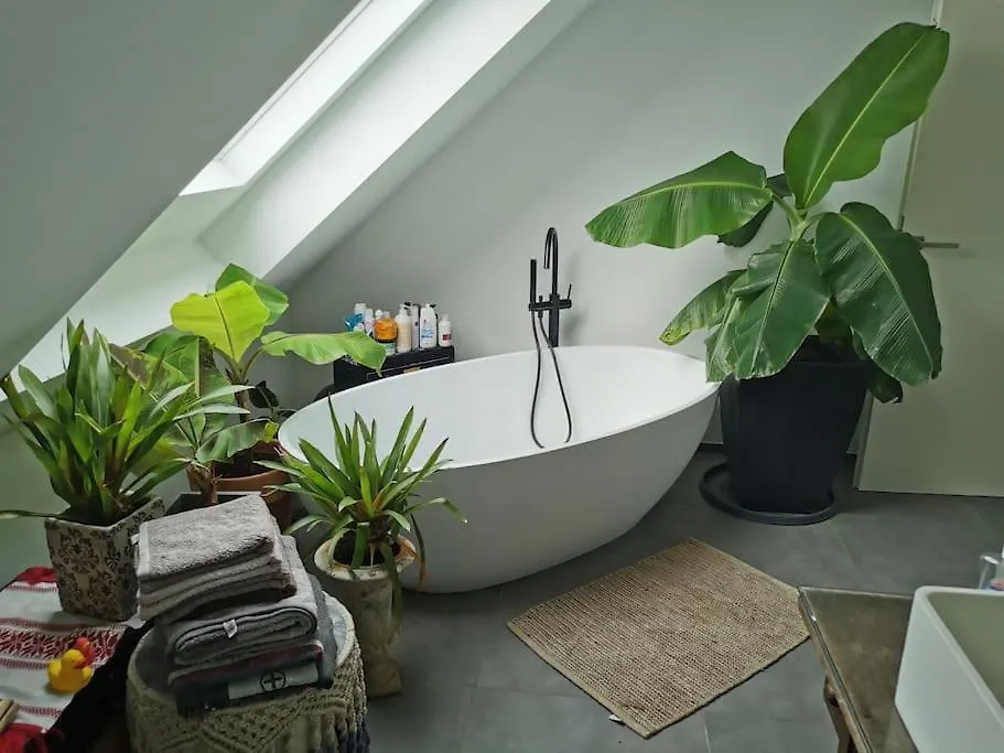 Apartment 100M² Office Loft 10 Min Von Wurzburg Stadtmitte Thuengersheim