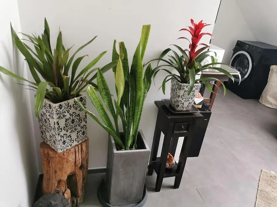 100M² Office Loft 10 Min Von Wurzburg Stadtmitte Thüngersheim 0*,  Duitsland